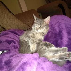 Meet your Posher, Melanie